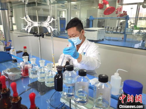 甘肃青年 瞄准 生物医药 携手英国院士科技赋能特膳食品